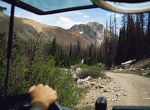 DSC01161-3_edited.jpg