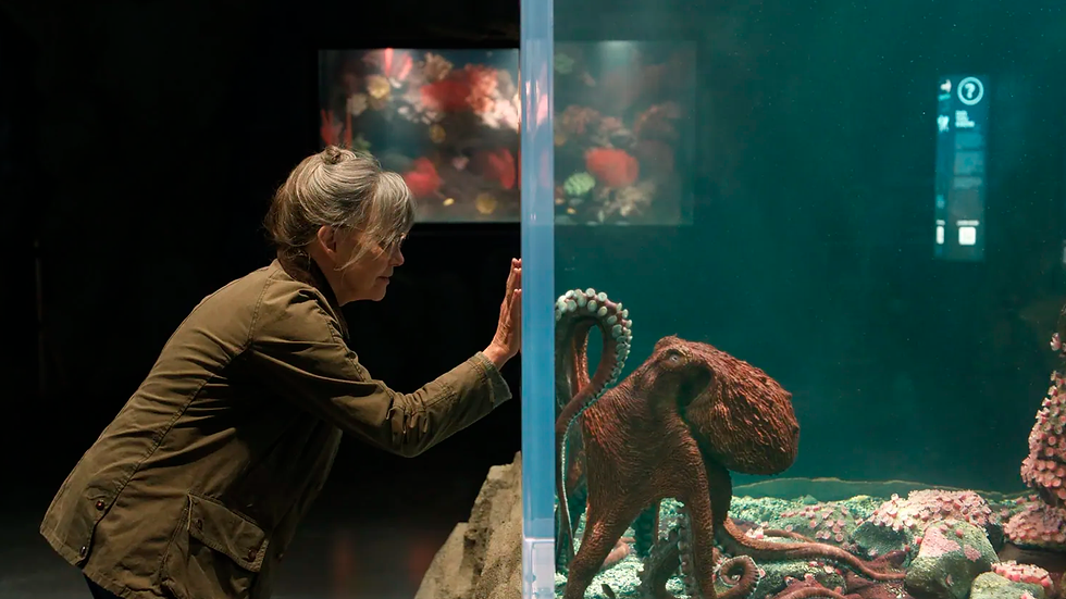 Fotografía: Ashley Connor