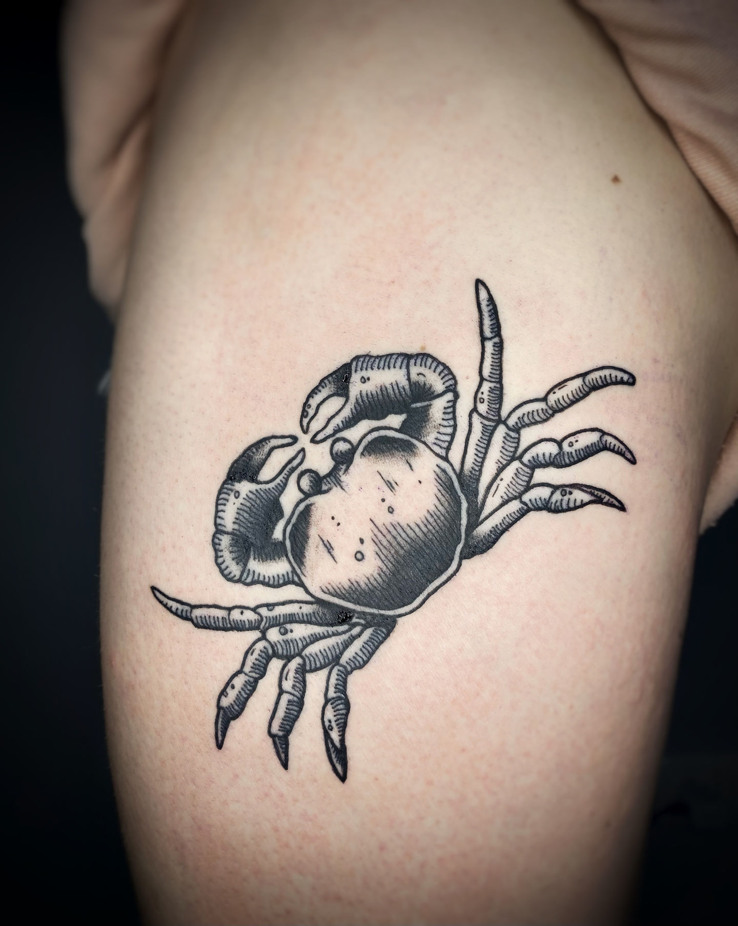 dotwork tattoo of crab ocean tattoo