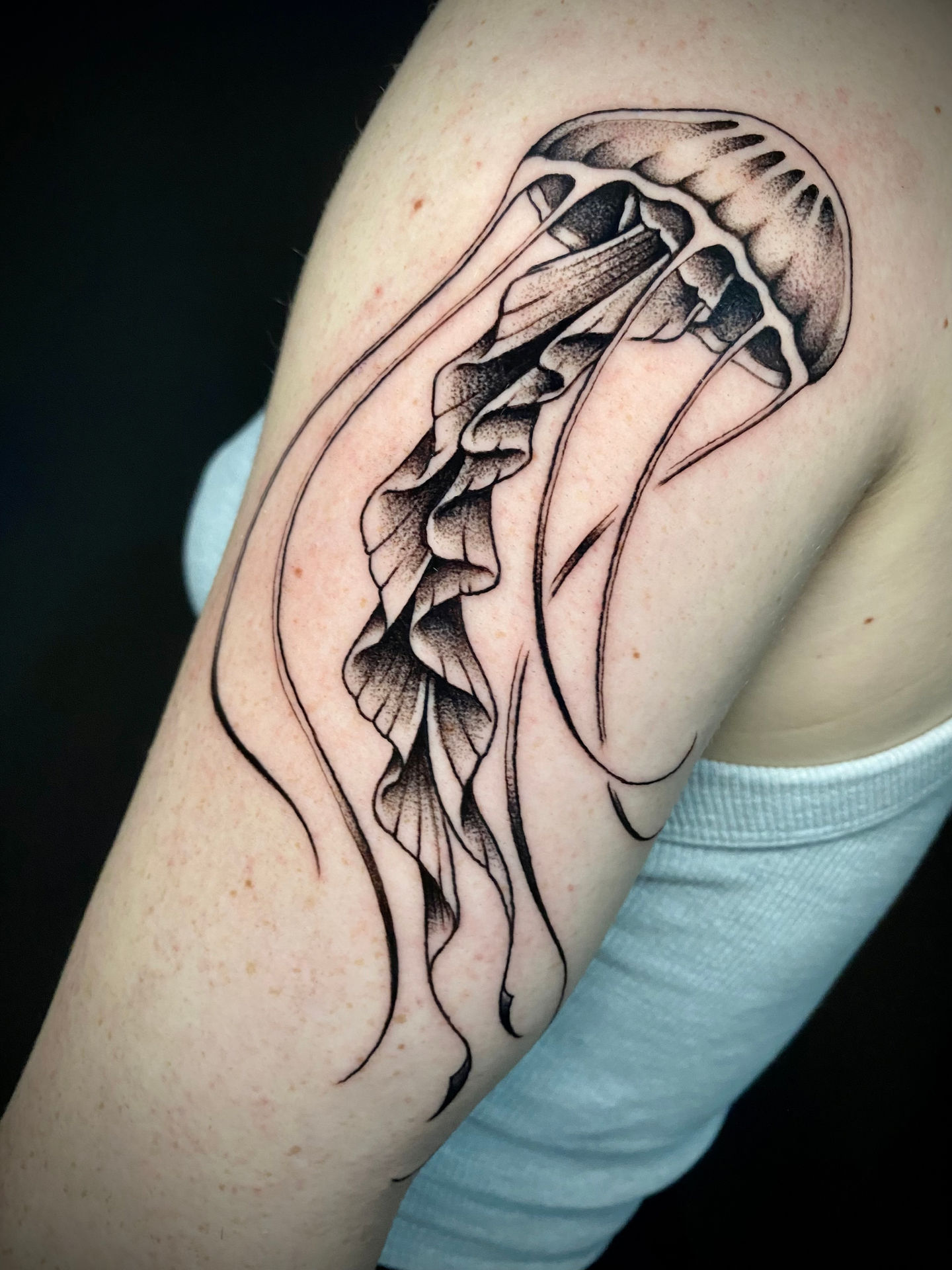 dotwork tattoo of jellyfish ocean tattoo