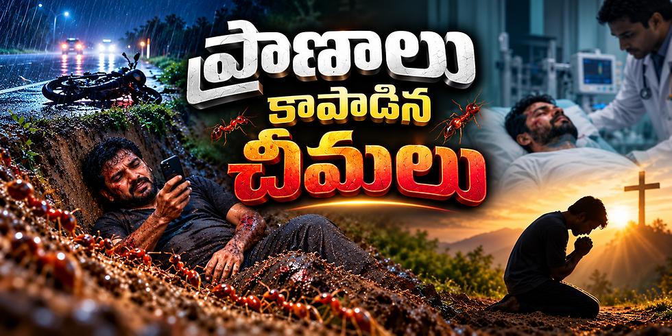 నొప్పి నిన్ను మేల్కొల్పడానికే!