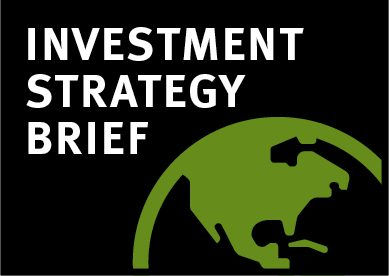 Investment Strategy Brief logo with green globe icon