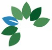 icon.webp