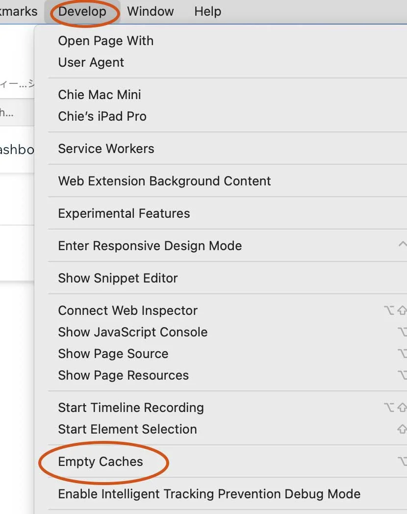 Safari Develop Empty Caches window