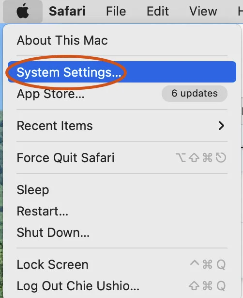 Safari System Settings