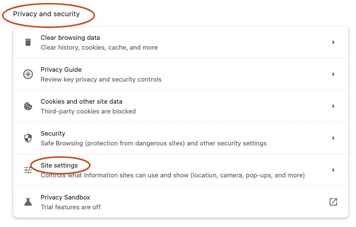 chrome privacy and security