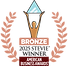 Bronze winner of the Stevie Awards for USA Best Computer Support
