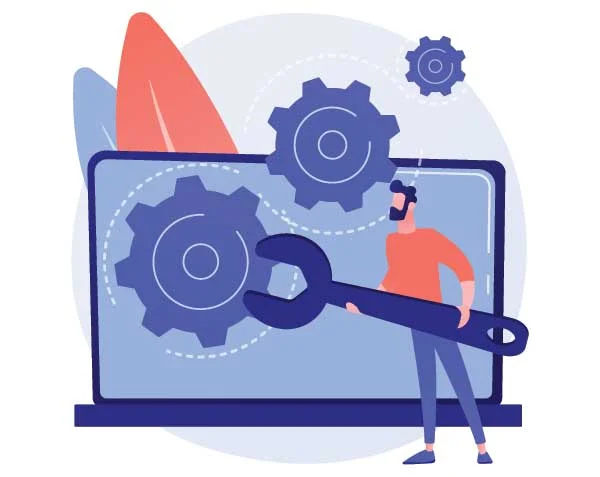 Software maintenance and management