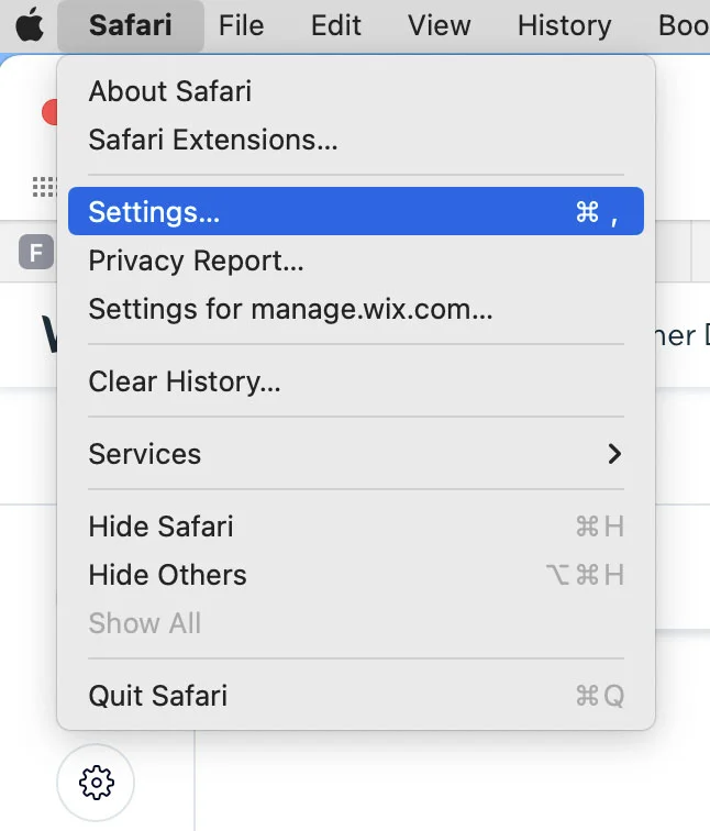safari settings window