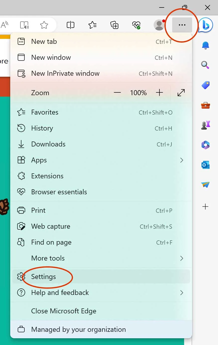 Edge settings window