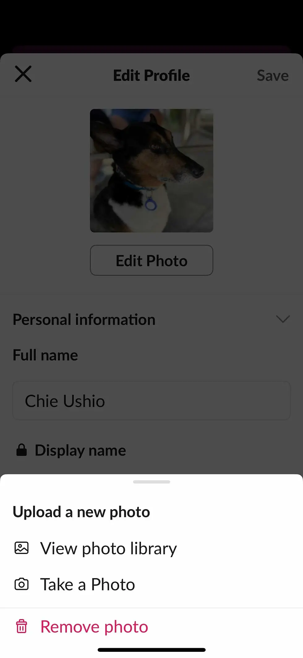 Slack profile window to upload a new photo