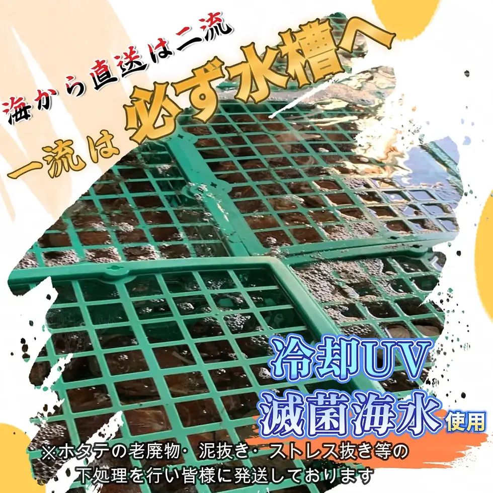 サムネイル： 漁師が喰うホタテ 3kg|ヤマロク水産