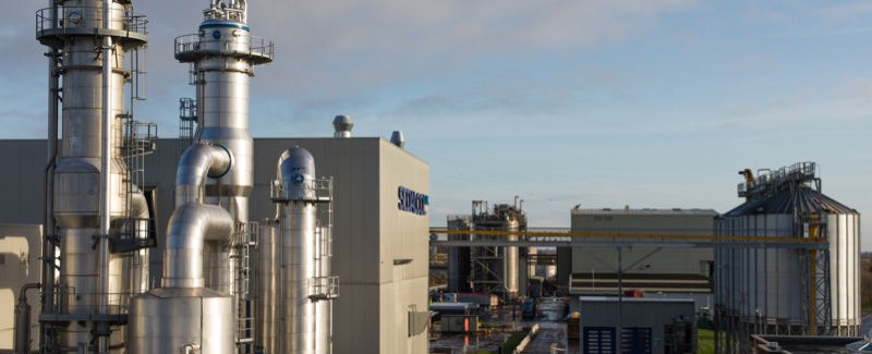 sedamyl_uk_plant.jpg