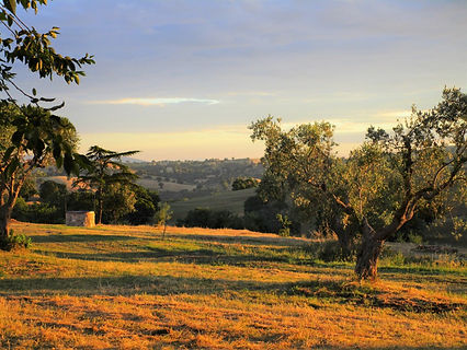 Sati Bliss Yoga Retreat in Tuscany