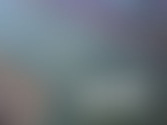 New Export Policy Update: Mandatory NXP Form and ETO Integration