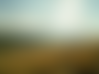 Baptêmes de Parapente à Saint Hilaire du Touvet