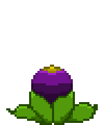 Corps Flower Pod.gif