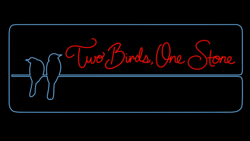 Two Birds One Stone_solid bg.png
