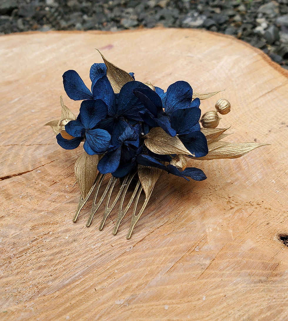 Miniature : Petit Peigne Marine