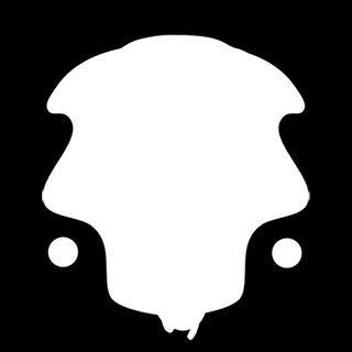Facecut out for augmented reality filter in spark ar