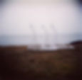 Introduced species, series 1 No. 2, 2006-2008