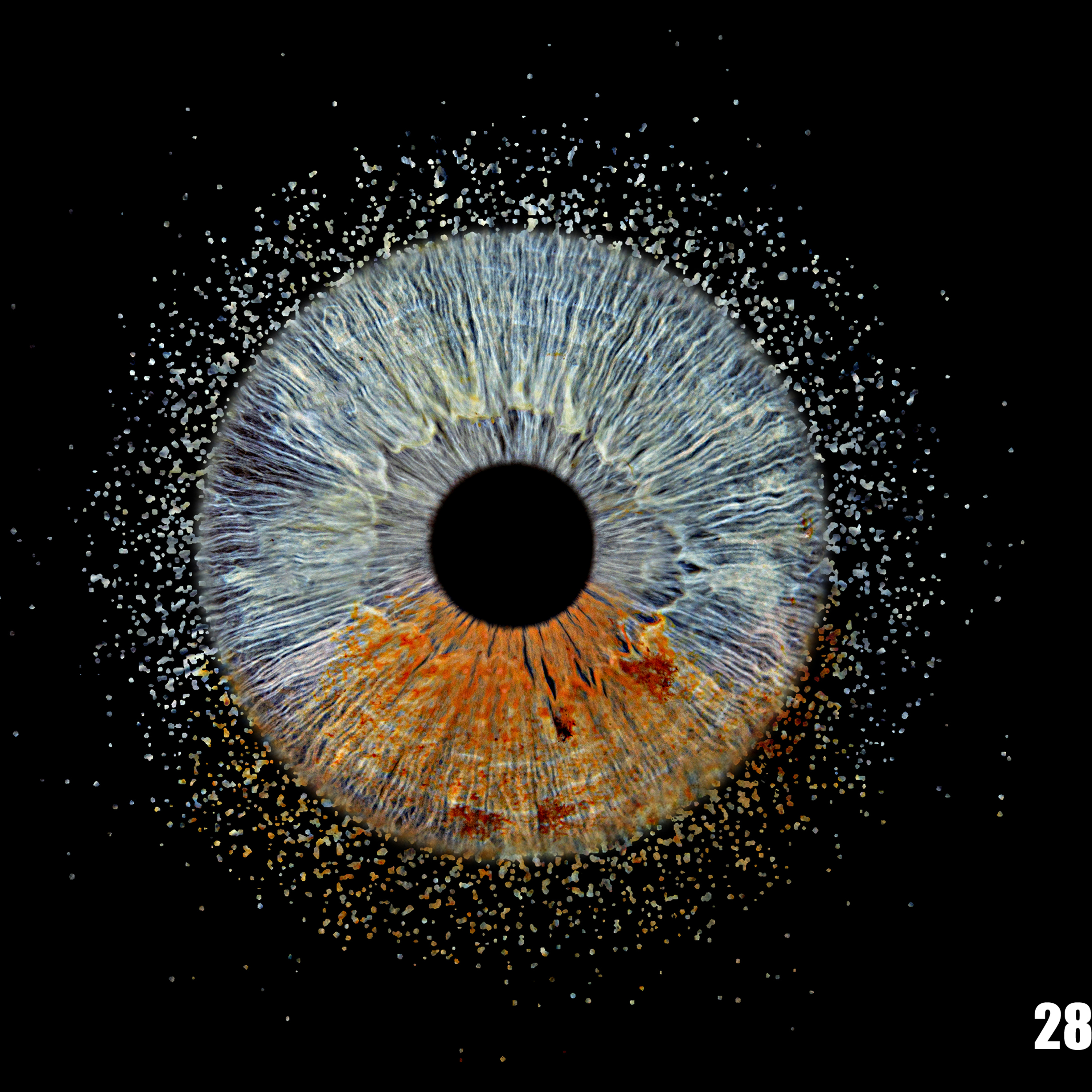 solar-pulse-1-eye