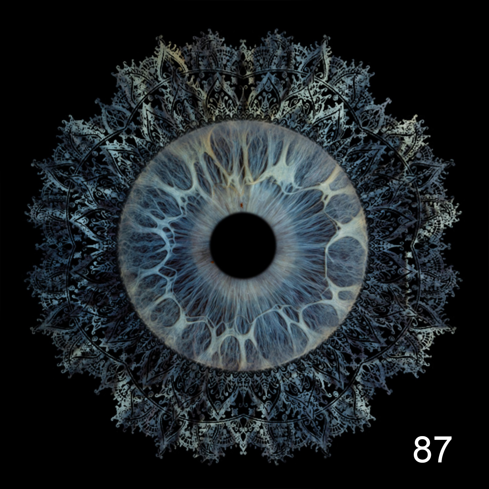 dark-veil-1-eye