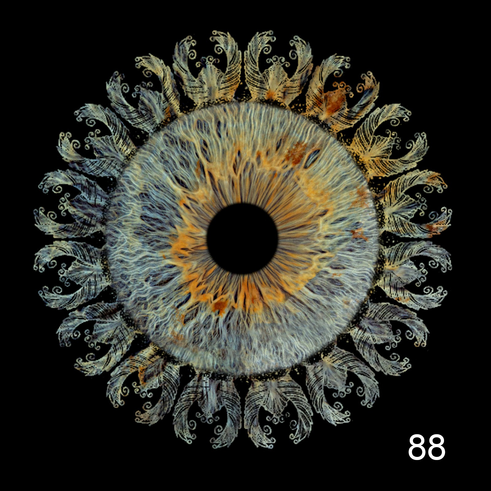 celestial-field-1-eye