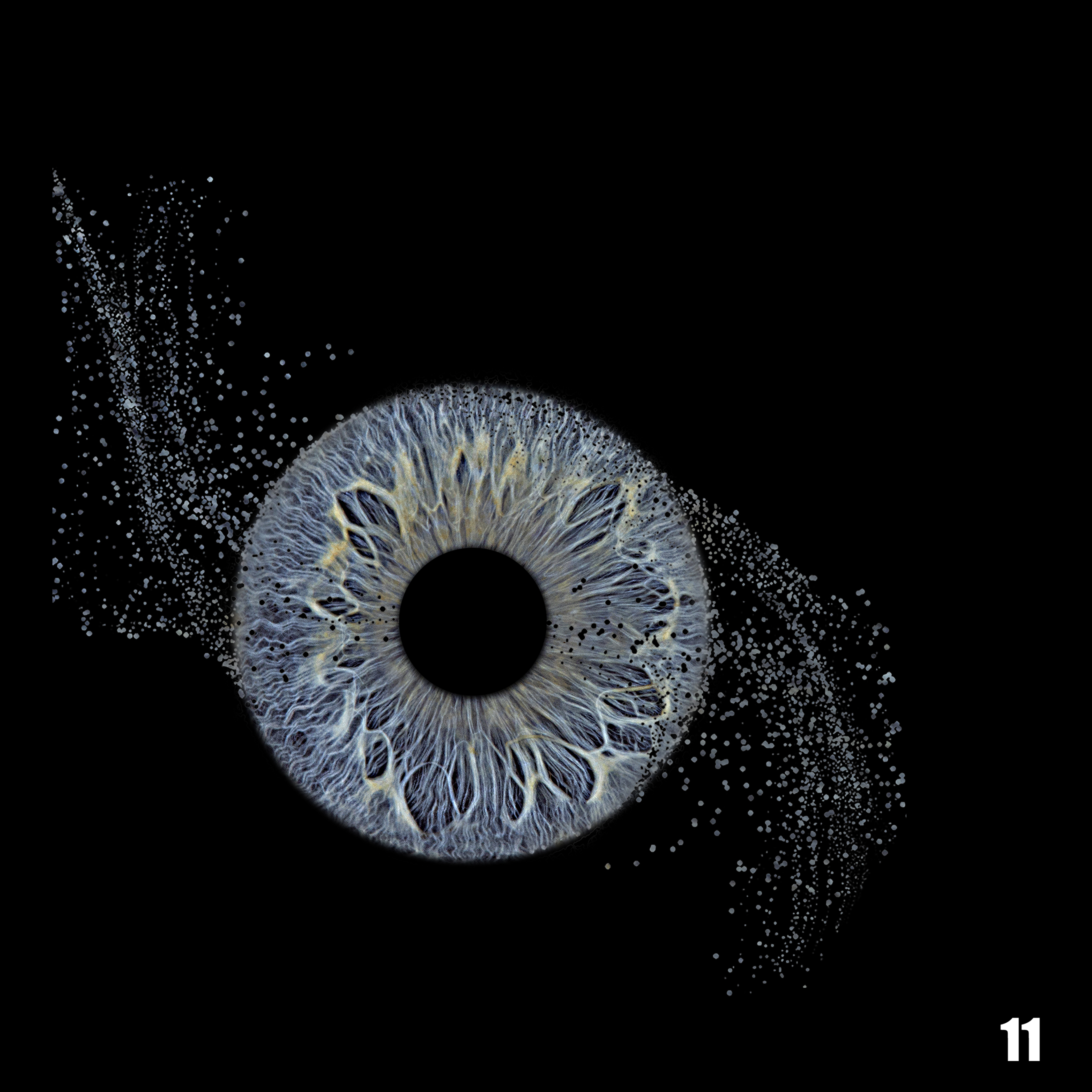 celestial-bloom-1-eye