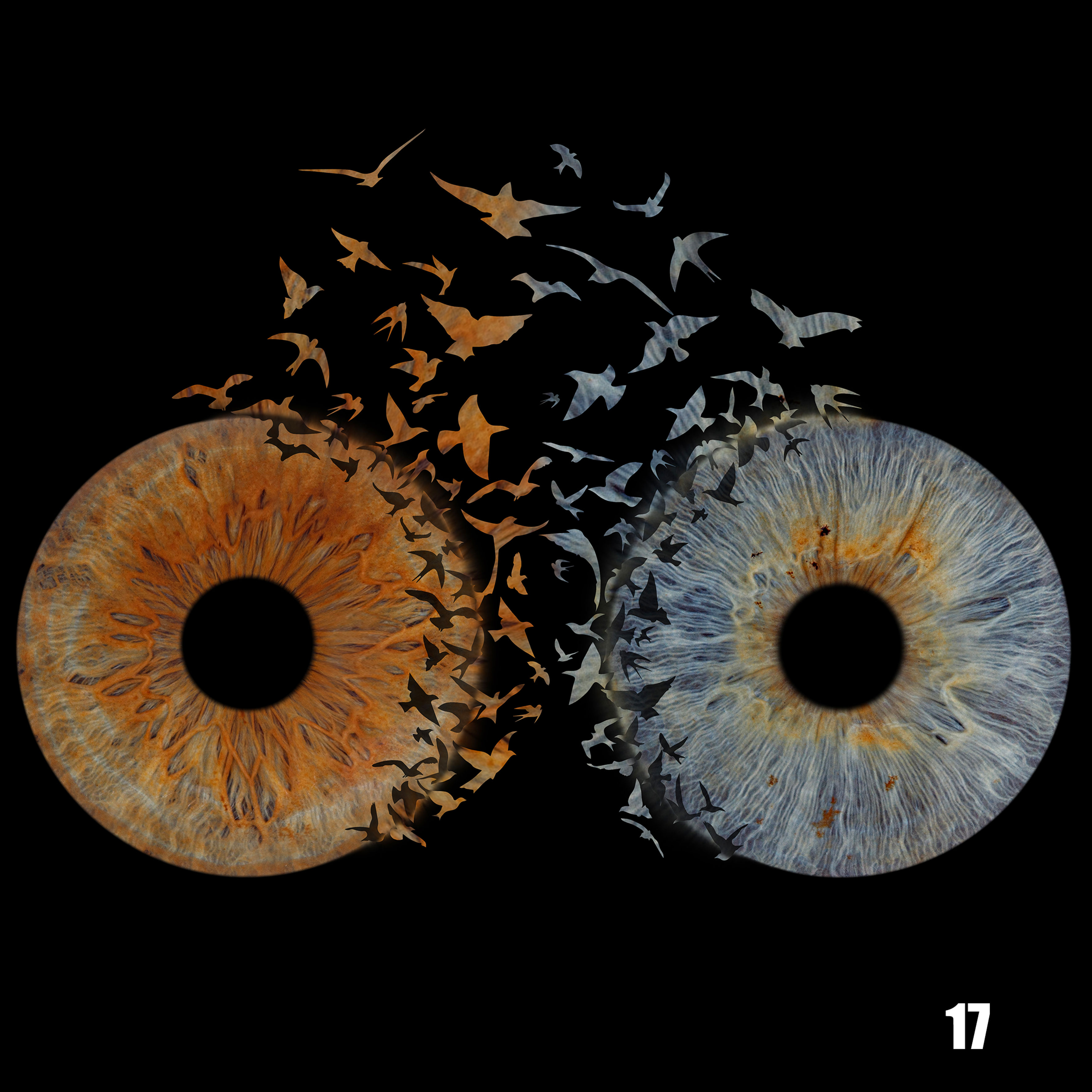 Astral Field – 2 Eyes