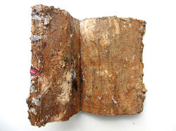llibre4