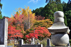 Koyasan_5364.jpg