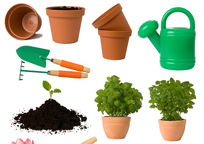 Advertise with The Indigneous Gardener Web Magazine