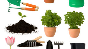 garden tools and plants