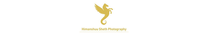 Banner%20photography_edited.jpg
