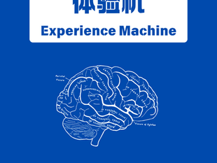 Mind Madness #3: The Experience Machine