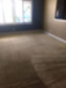 professional carpet cleaning results in Simi Valley