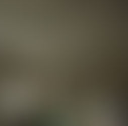 Drywall Hanging, Taping, and Texture