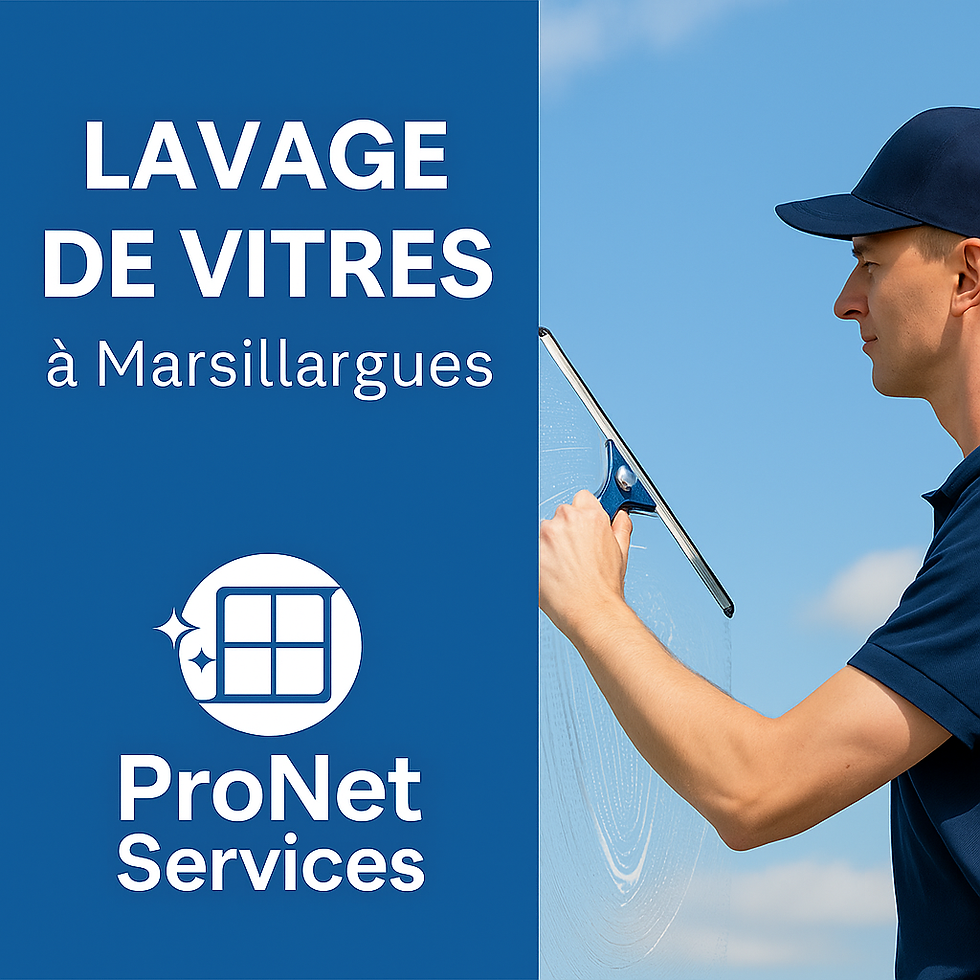 Lavage de vitres : pourquoi faire appel à un professionnel à Marsillargues ?