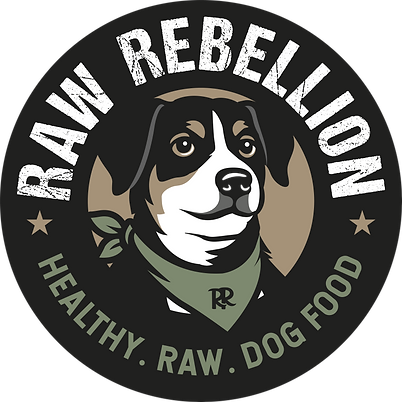 Raw rebellion logo color transparent.png