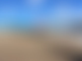 技能実習生制度を海外進出の足掛かりに