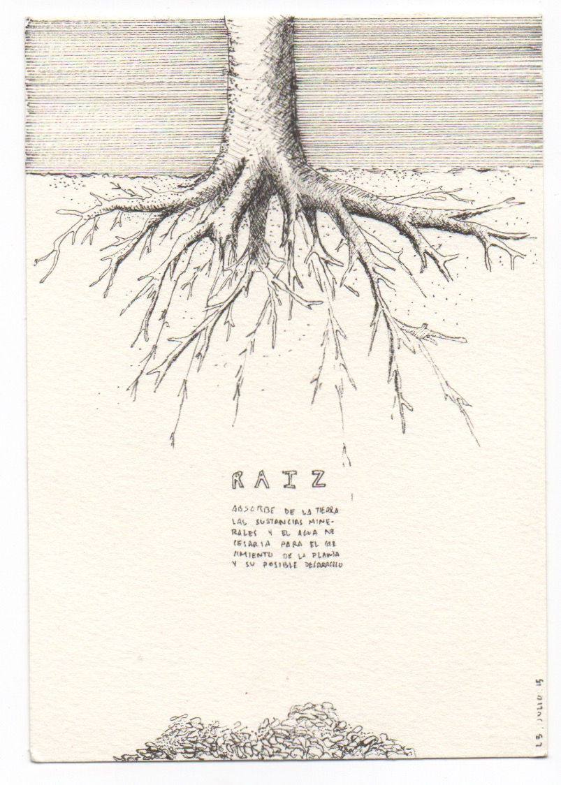 Raiz