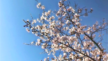 門出を祝う