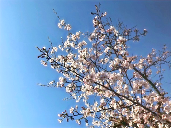 門出を祝う