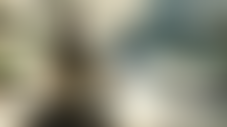 Holistic Self-Care in 2024 and beyond: A Path to Wellbeing