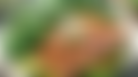 Easy Weight Loss Through Carbohydrate Restriction, Protein Diet, and Slimming Spa Techniques