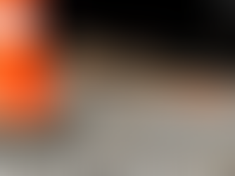 Um lagarto teiú andando pelo lugar de trabalho da Clemar