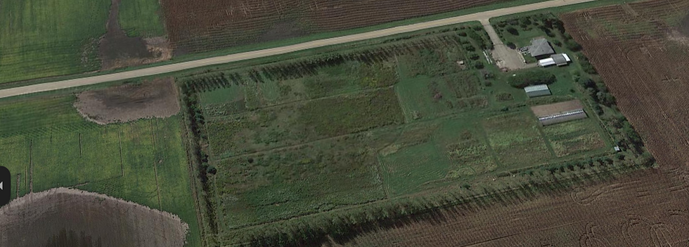 Shine Organic Farms Aerial View.png