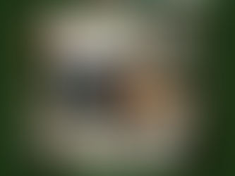 I most certainly am taller than a dandelion.