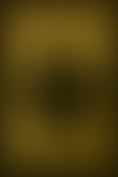 The Static Prophet For rebel hearts, truth-seekers, anguish-bearers, moments of urgency and inner revolt